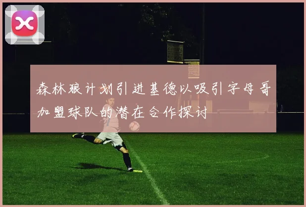 森林狼计划引进基德以吸引字母哥加盟球队的潜在合作探讨